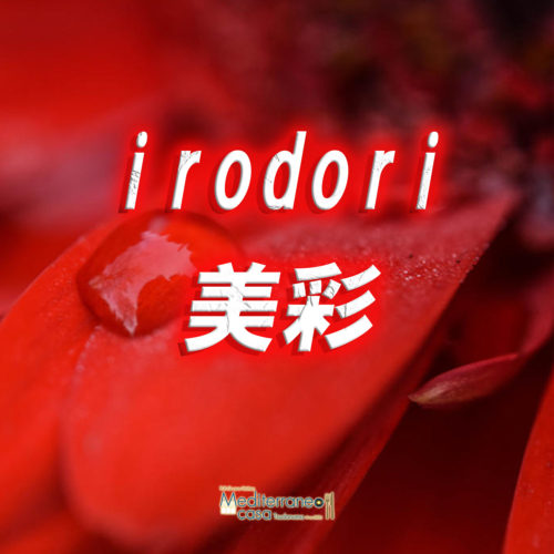 irodori美彩 のコピー