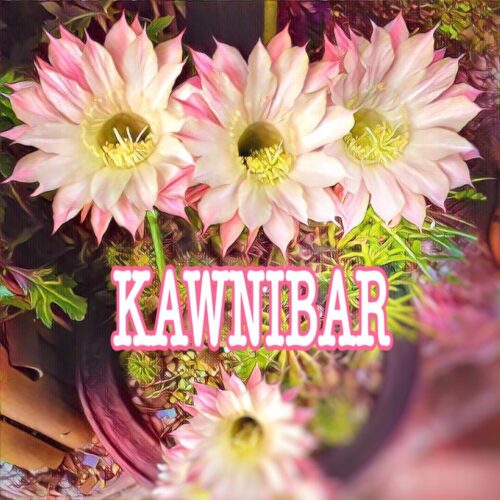 15338707_598554623677545_5280008336357082065_n