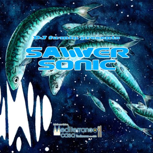 サバソニ2 のコピー