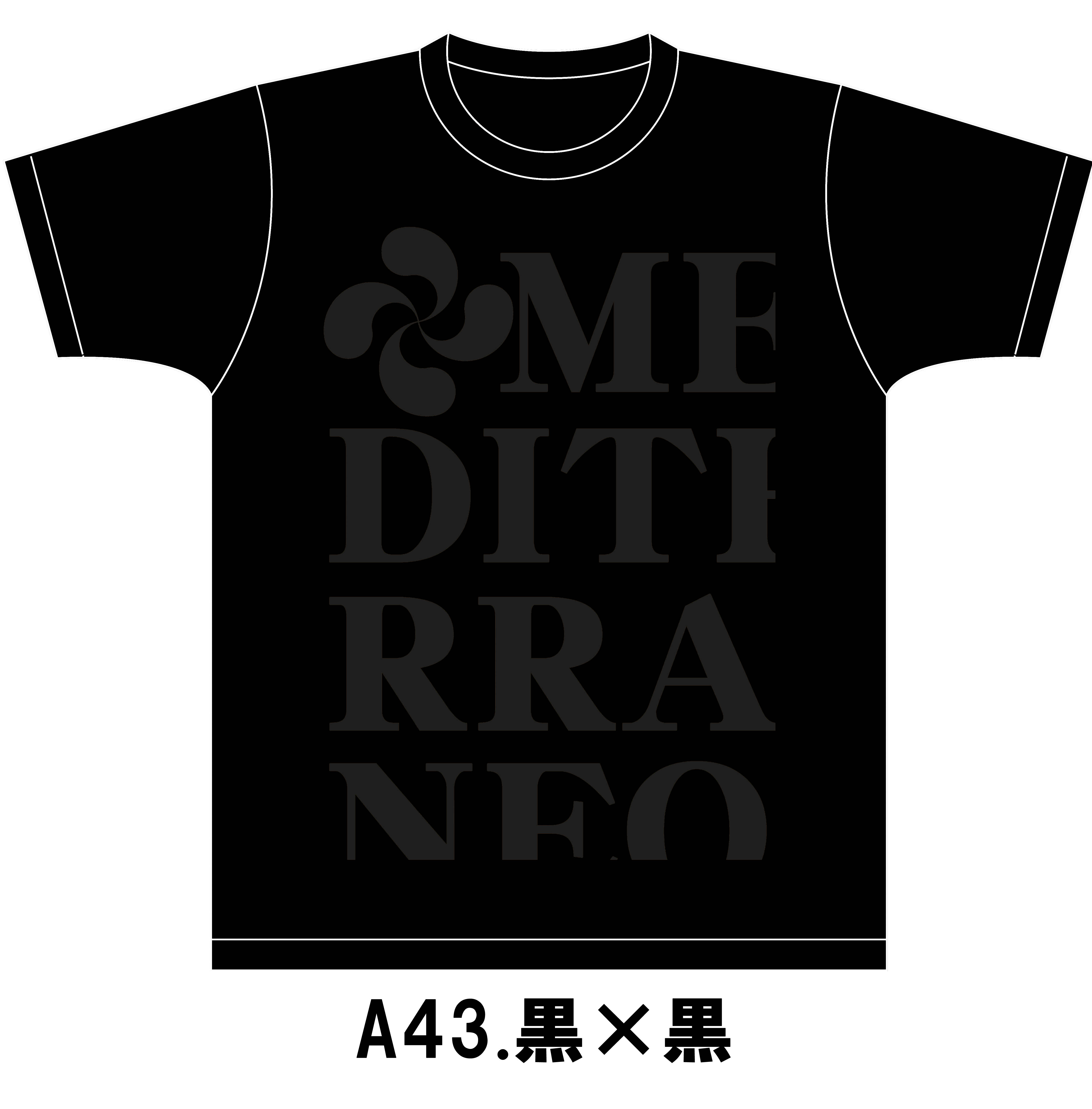 A43黒×黒 のコピー