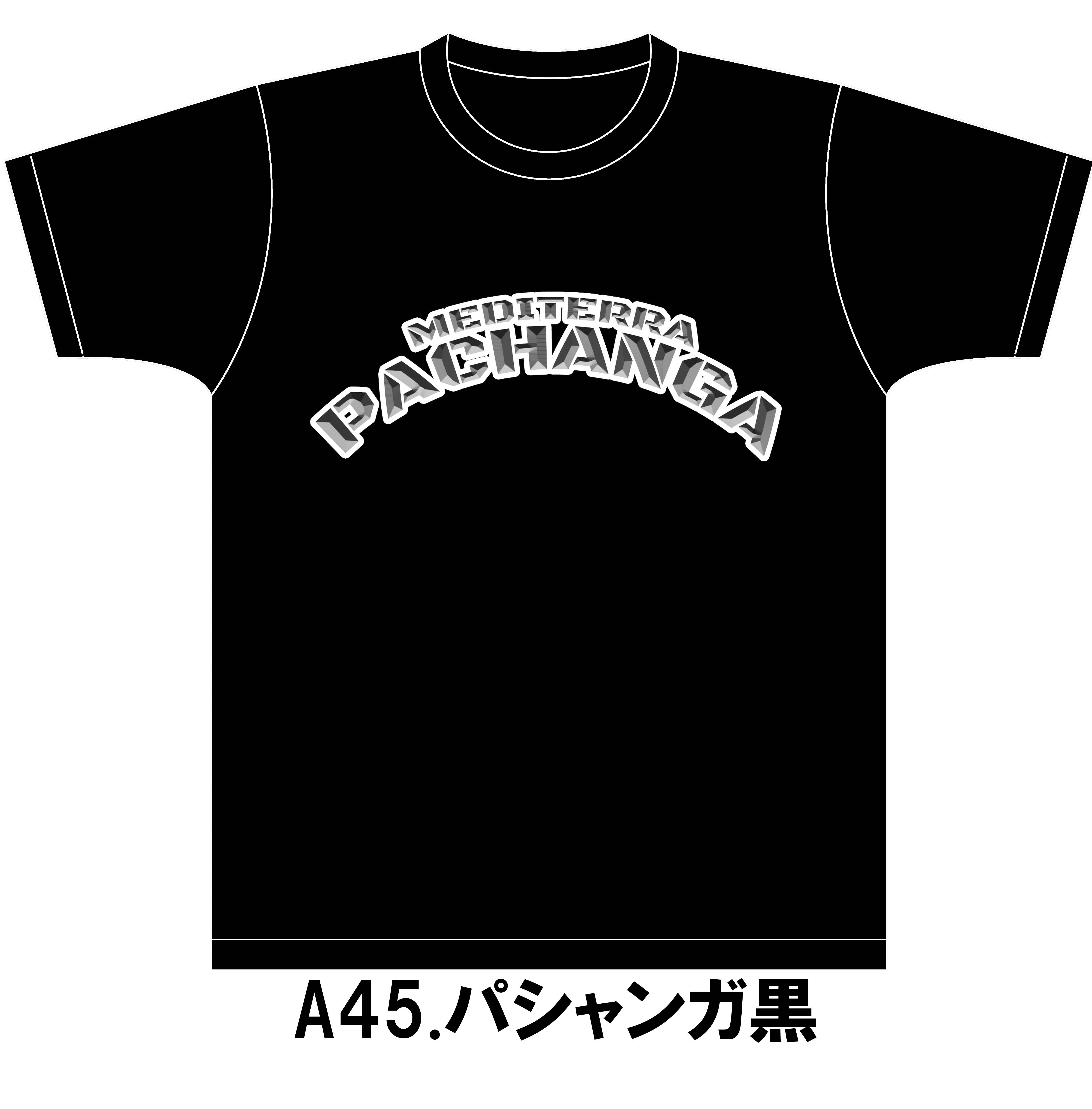 A45パシャンガ黒 のコピー