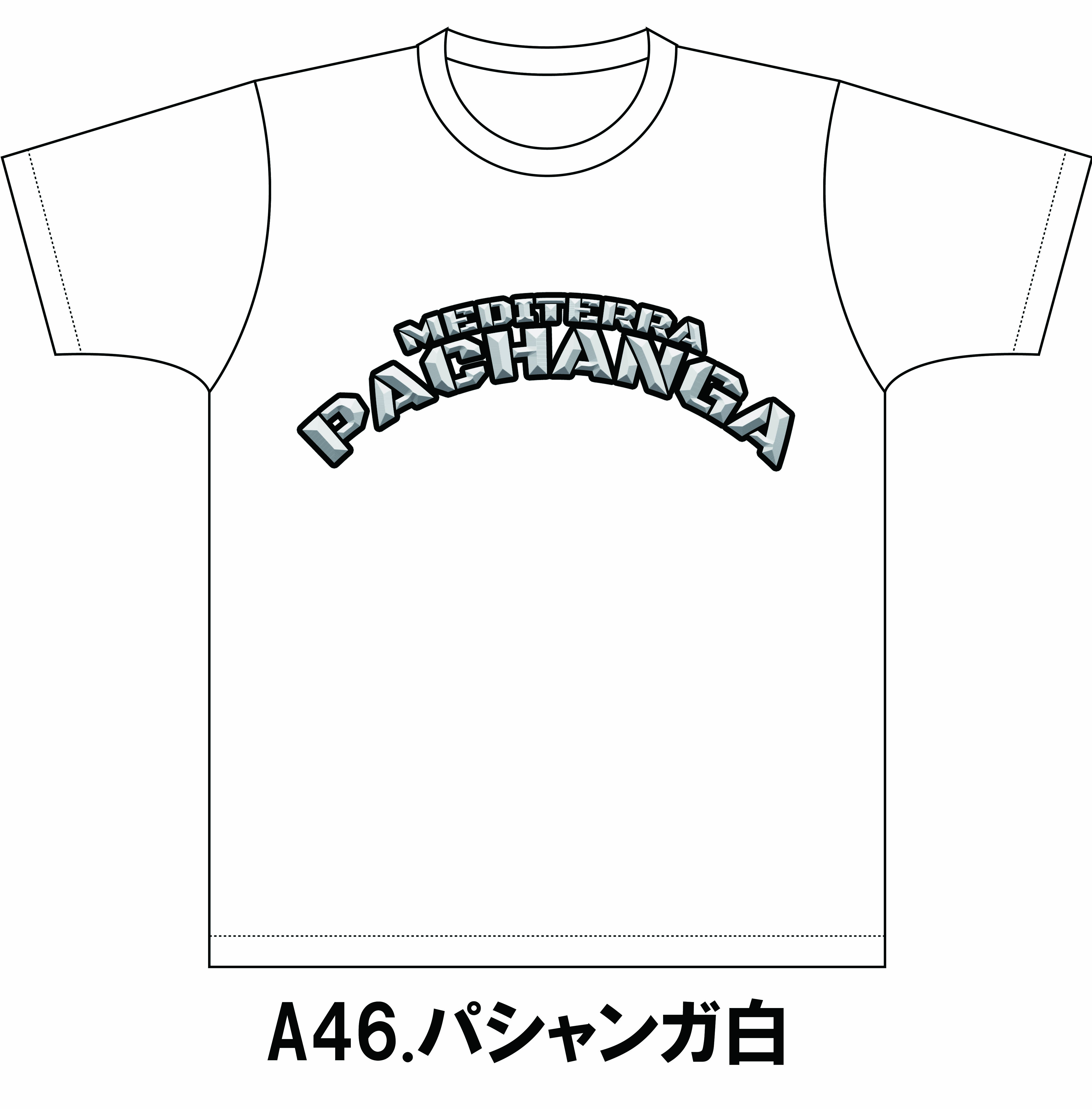 A46パシャンガ白 のコピー